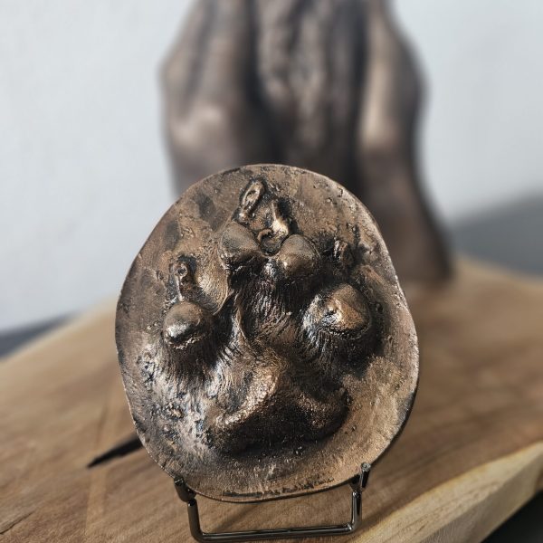 Beeld plat pootje | 13-100