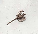 Bloem in brons | 15-801 - Afbeelding 3