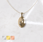 Ketting met ovale hanger | 14-407