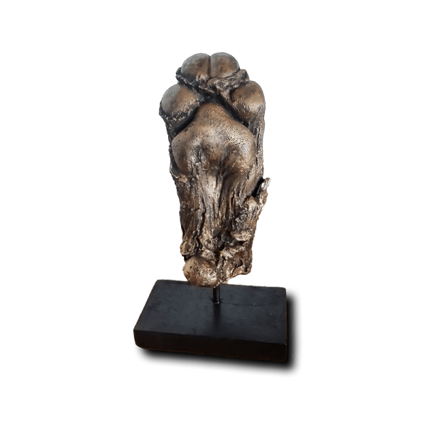 Huisdier beeld brons | 13-103