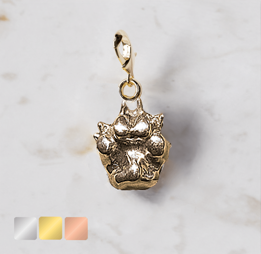 kleuren-goud-zilver-rose-zijkant-kleur-3 Bedel pootje vlakke achterzijde | 13-600 - Afbeelding 1