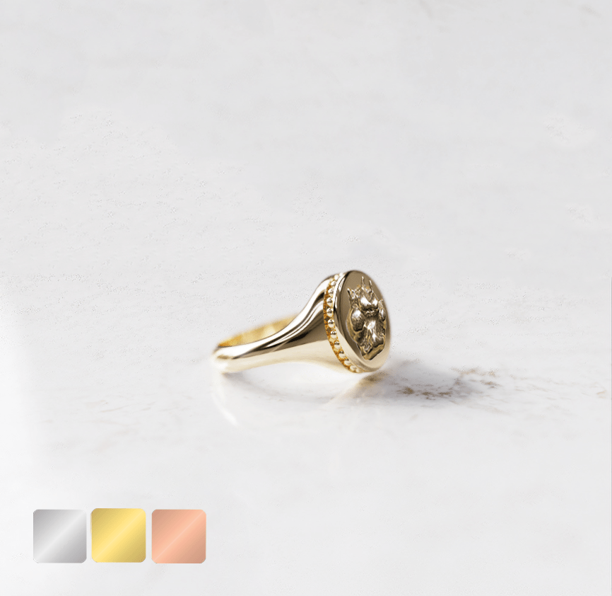 render-ring-51-groot-met-omlijsting-goud-zkkij.jpg Ring rond met decorand aan zijde huisdier | 13-308 - Afbeelding 1