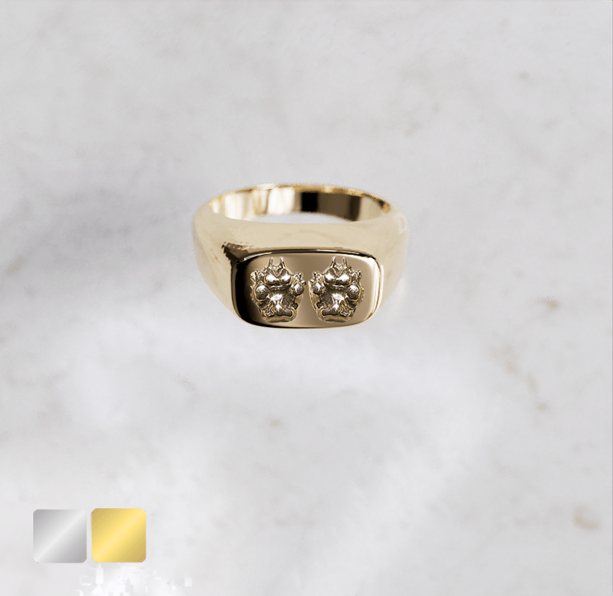 ring-2-handjes-rechthoek-goud-voorxxd Zegelring rechthoeking afgerond huisdier Heren | 13-318 - Afbeelding 1