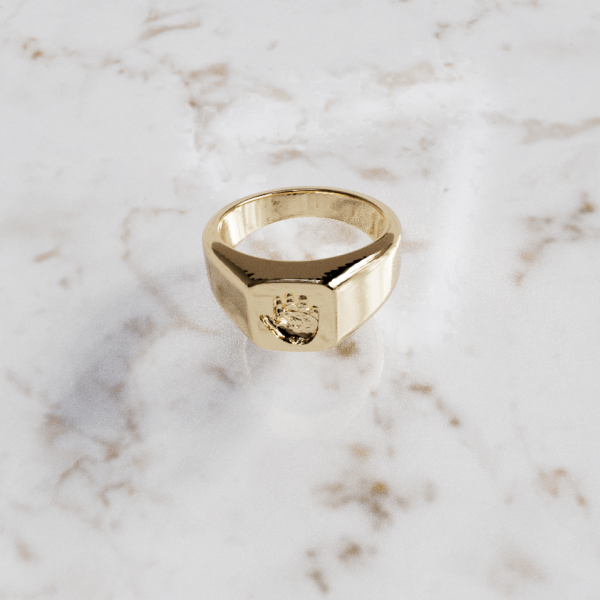 Zegelring kleine vierkant huisdier Heren | 13-314