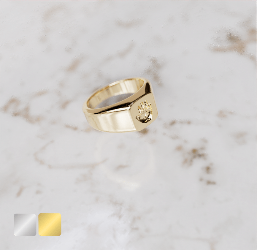 ring-43-handje-er-in-zij-goud-goud Zegelring vierkant klein Heren | 14-304 - Afbeelding 1