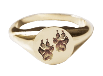 ring met pootafdrukken in het goud