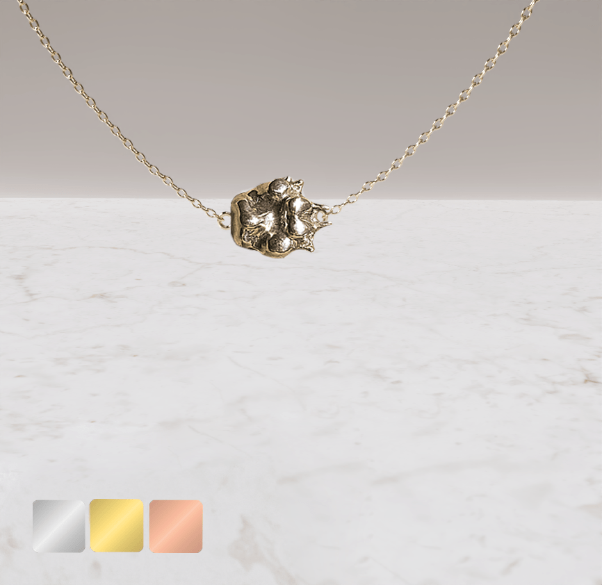 voetje-zijcollier-gold-voor-1 Ketting pootje met richting mee | 13-408 - Afbeelding 1