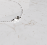 Ketting voetje met richting mee | 14-404 - Afbeelding 4