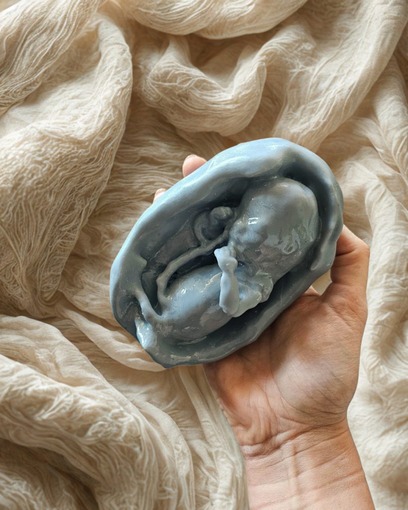3D echo kindje zwangerschap 3D print prototype