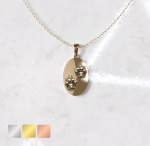 Ketting bedel ovale hanger huisdier | 13-401