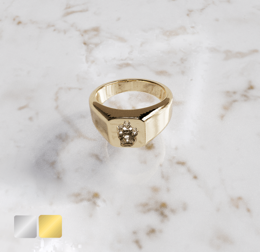 ring-43-handje-er-in-voor-goud-1.png Zegelring kleine vierkant huisdier Heren | 13-314 - Afbeelding 1