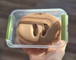 afdruk voetjes