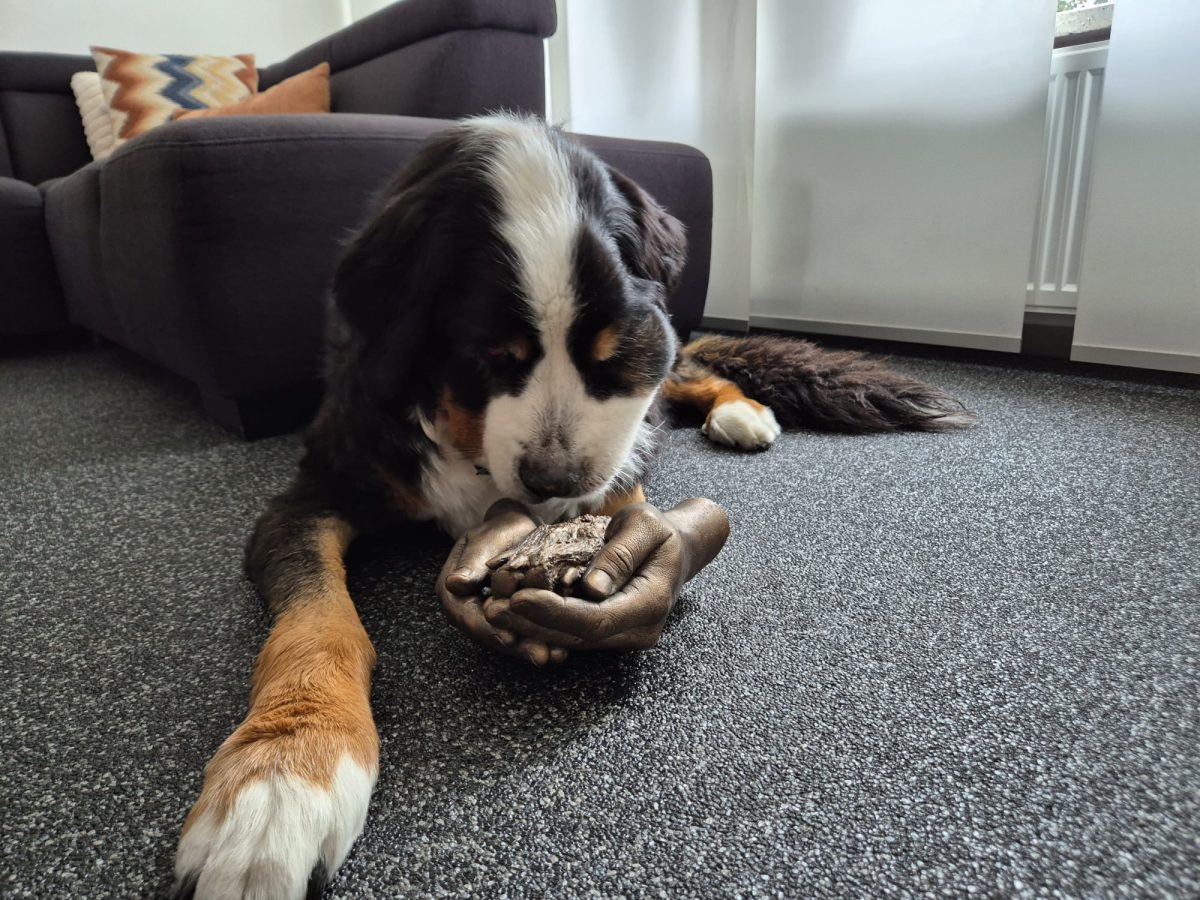 Huisdier beeld met gezin - Afbeelding 2