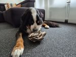Huisdier beeld met gezin - Afbeelding 2